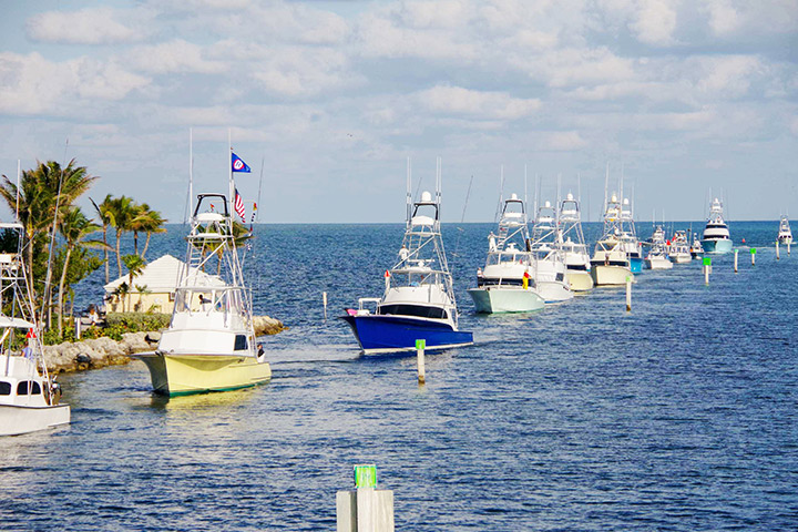 JJSportFish tournament boats lined up at the marina